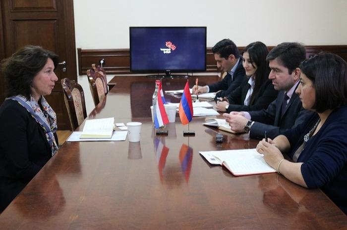 Նոր նախագիծ Նոր նախագիծ